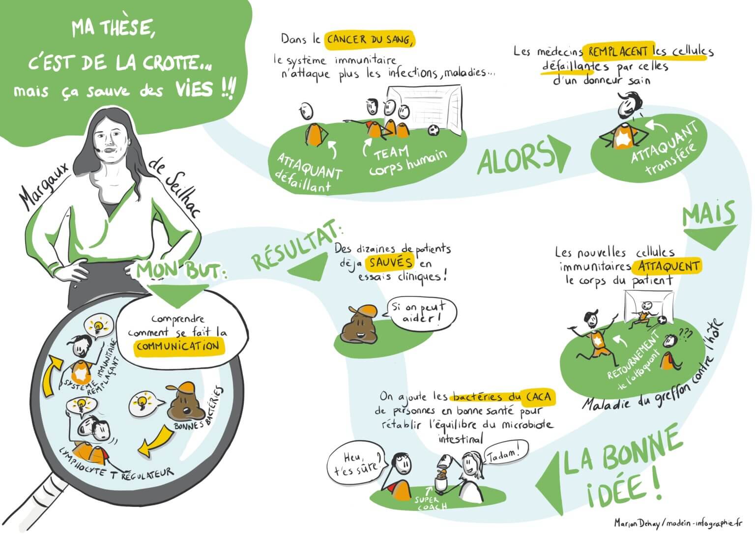 synthès visuelle en poster scientifique d'une thèse sur le cancer du sang en Pays de la Loire
