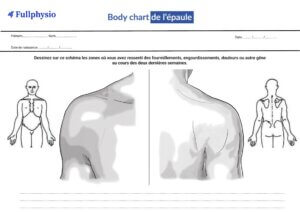 dessins d'épaule vue de dos et de face pour illustrer un body chart de Fullphysio