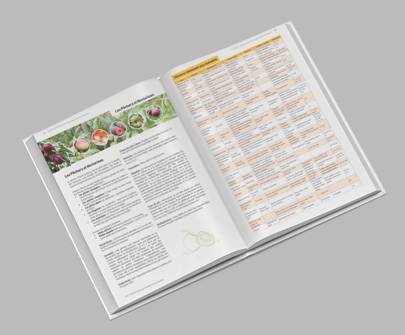 Mise en page du livre Variétés fruitières de Franck Nathié par marion dehay, infographiste en Pays de la Loire